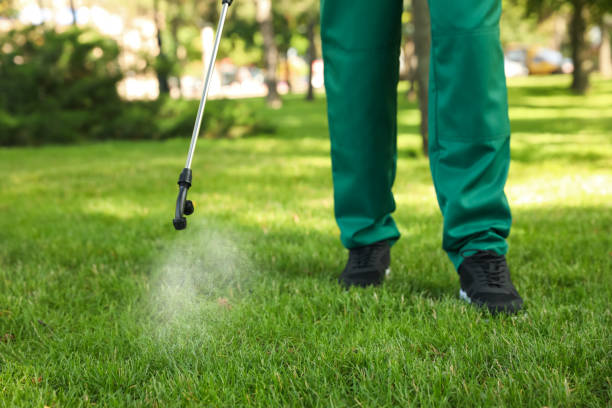 Best Affordable Pest Control Services  in Prichard, AL