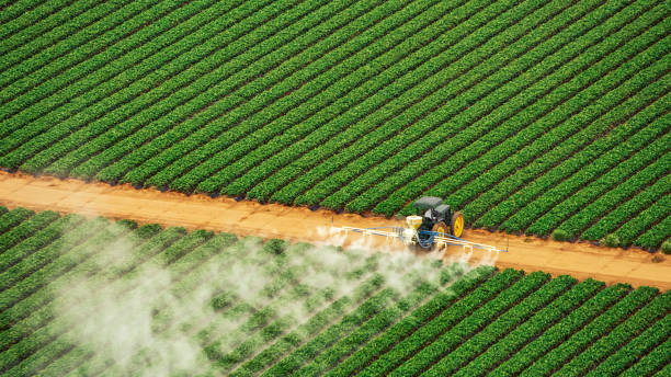 Best Mosquito Control Services  in Prichard, AL